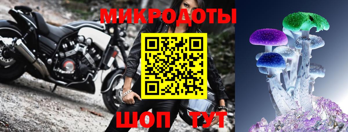 Ленинск-Кузнецкий  Псилоцибиновые грибы Psilocybine cubensis  что такое   Галлюциногенные грибы MAGIC MUSHROOMS  Вход с VPN 