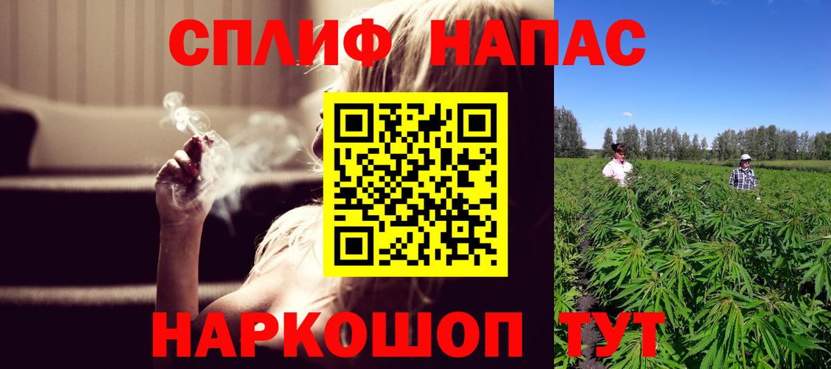МАРИХУАНА сатива  Каннабис план  Каннабис планчик  Вход с VPN  Ленинск-Кузнецкий 